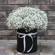 Цветочная композиция из Гипсофила в шляпной коробке в Губино