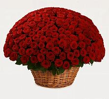 Премиум букет из: Розы в Губино